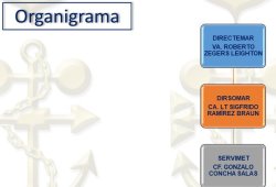 Organización y Funciones Principales