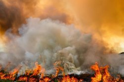 Las interrelaciones entre calidad del aire y clima
